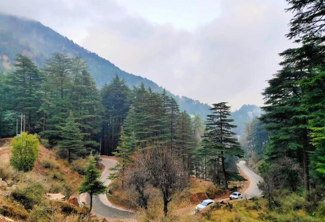 The Lake Cottage By Vrb Hotels Mcleodganj ดารัมซาลา ภายนอก รูปภาพ